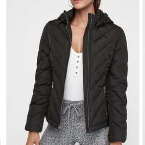 Express Women's Hooded Puffer Jacket